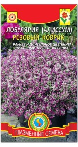 Алиссум Розовый коврик