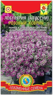 Алиссум Розовый коврик