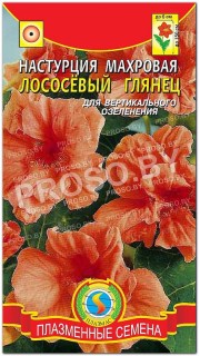Настурция махровая Лососевый глянец