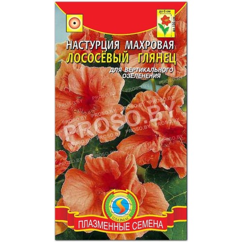 Настурция махровая Лососевый глянец