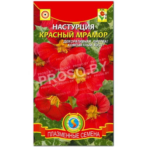 Настурция Красный мрамор