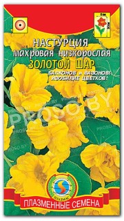 Настурция махровая Золотой шар, низкорослая