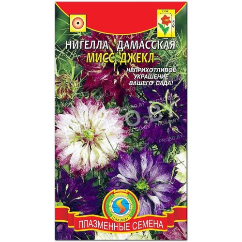 Нигелла дамасская Мисс Джекл, смесь-1