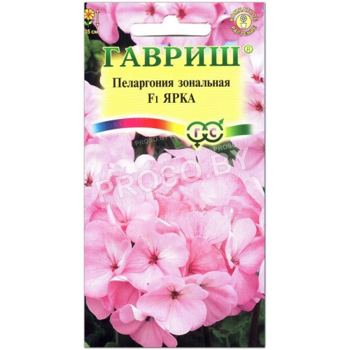 Пеларгония зональная Ярка F1-1