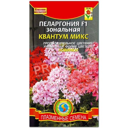 Пеларгония зональная Квантум F1, смесь (микс)