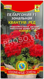 Пеларгония зональная Квантум ред F1
