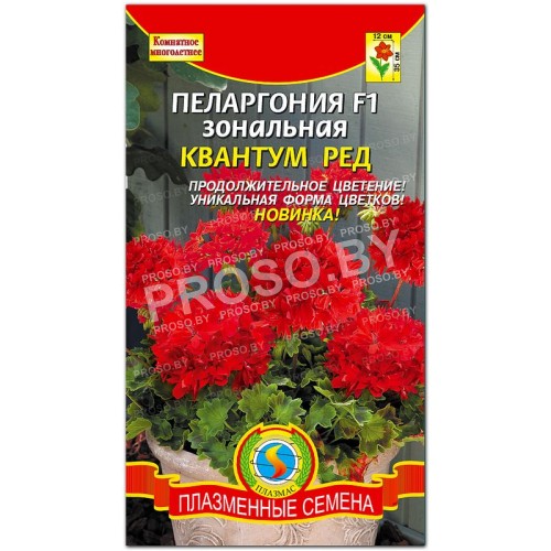 Пеларгония зональная Квантум ред F1