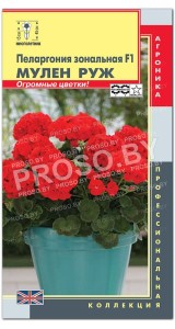 Пеларгония зональная Мулен руж F1