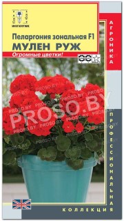 Пеларгония зональная Мулен руж F1