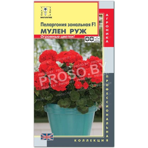 Пеларгония зональная Мулен руж F1