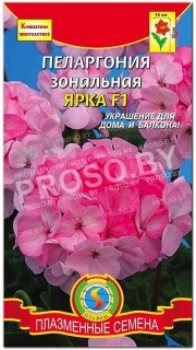 Пеларгония зональная Ярка F1