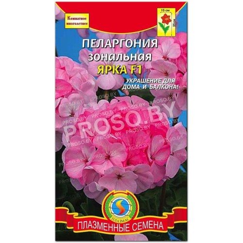 Пеларгония зональная Ярка F1