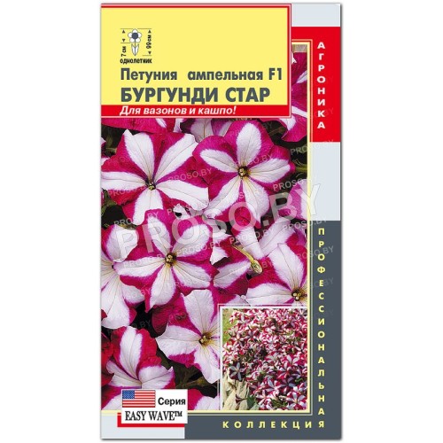 Петуния ампельная Бургунди стар F1, серия EASY WAVE