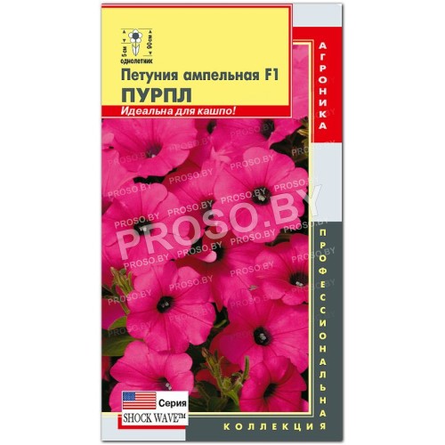 Петуния ампельная Пурпл F1, серия SHOCK WAVE