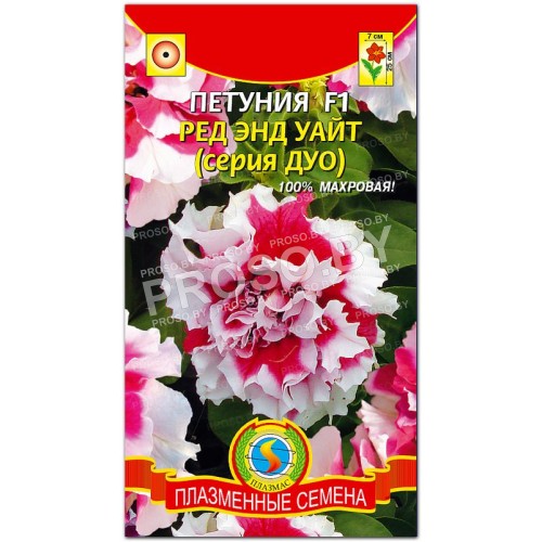 Петуния Ред энд уайт F1, серия ДУО
