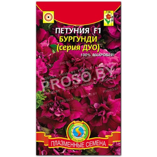 Петуния Бургунди F1, серия ДУО-1