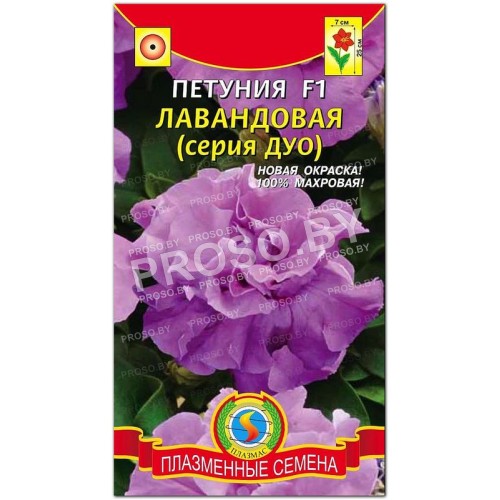 Петуния Лавандовая F1, серия ДУО