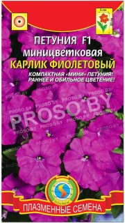 Петуния миницветковая Карлик фиолетовый F1