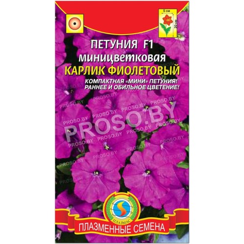 Петуния миницветковая Карлик фиолетовый F1