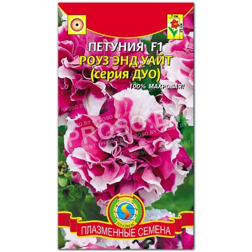 Петуния Роуз энд уайт F1, серия ДУО