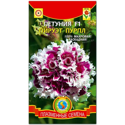 Петуния крупноцветковая Пируэт пурпл F1