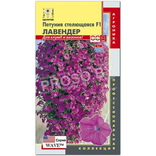 Петуния стелющаяся Лавендер F1, серия WAVE