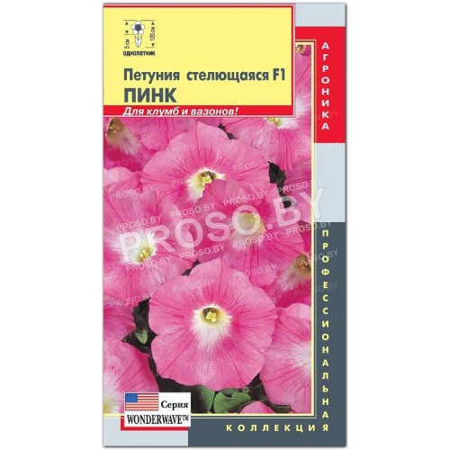 Петуния стелющаяся Пинк F1, серия WONDERWAVE