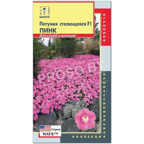 Петуния стелющаяся Пинк F1, серия WAVE