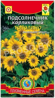 Подсолнечник карликовый Тополино