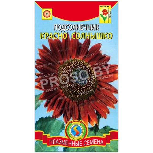 Подсолнечник Красно солнышко-1