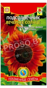 Подсолнечник Вечернее солнце