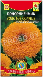 Подсолнечник Золотое солнце