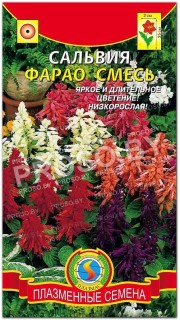Сальвия Фарао, смесь