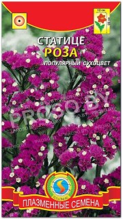 Статице Роза