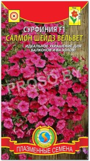 Сурфиния Салмон Шейдз вельвет F1