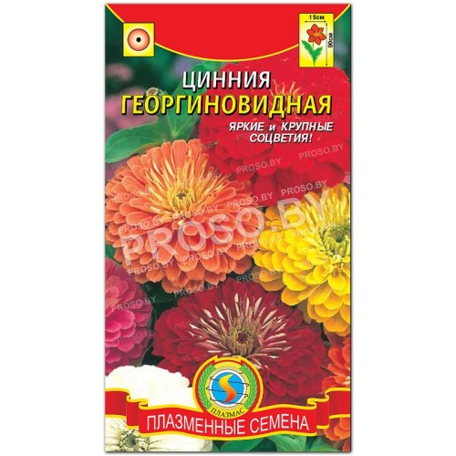 Цинния изящная Георгиновидная, смесь-1