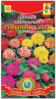 Цинния карликовая Тумбелина, смесь