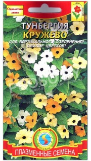 Тунбергия Кружево, смесь