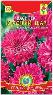 Василек махровый Красный шар