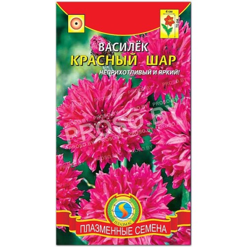 Василек махровый Красный шар