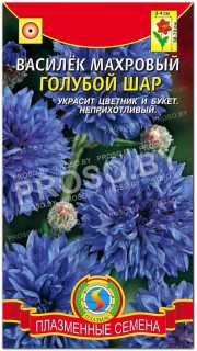 Василек махровый Голубой шар