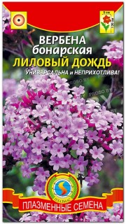 Вербена бонарская Лиловый дождь