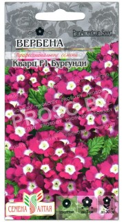 Вербена Кварц бургунди F1