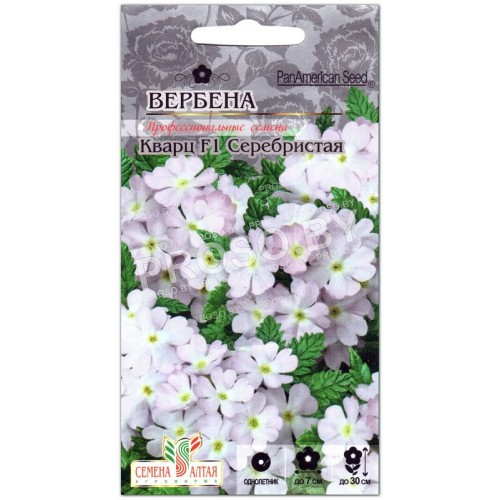 Вербена Кварц серебристая F1