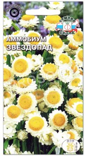 Аммобиум Звездопад