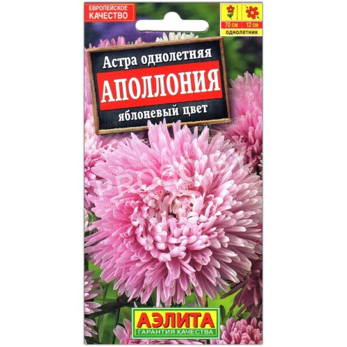 Астра Аполлония яблоневый цвет