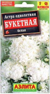 Астра Букетная белая