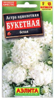 Астра Букетная белая