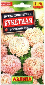 Астра Букетная персиковый цвет