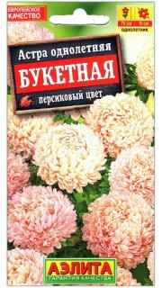 Астра Букетная персиковый цвет